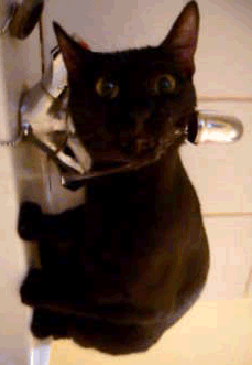 OMG SO THIRSTY